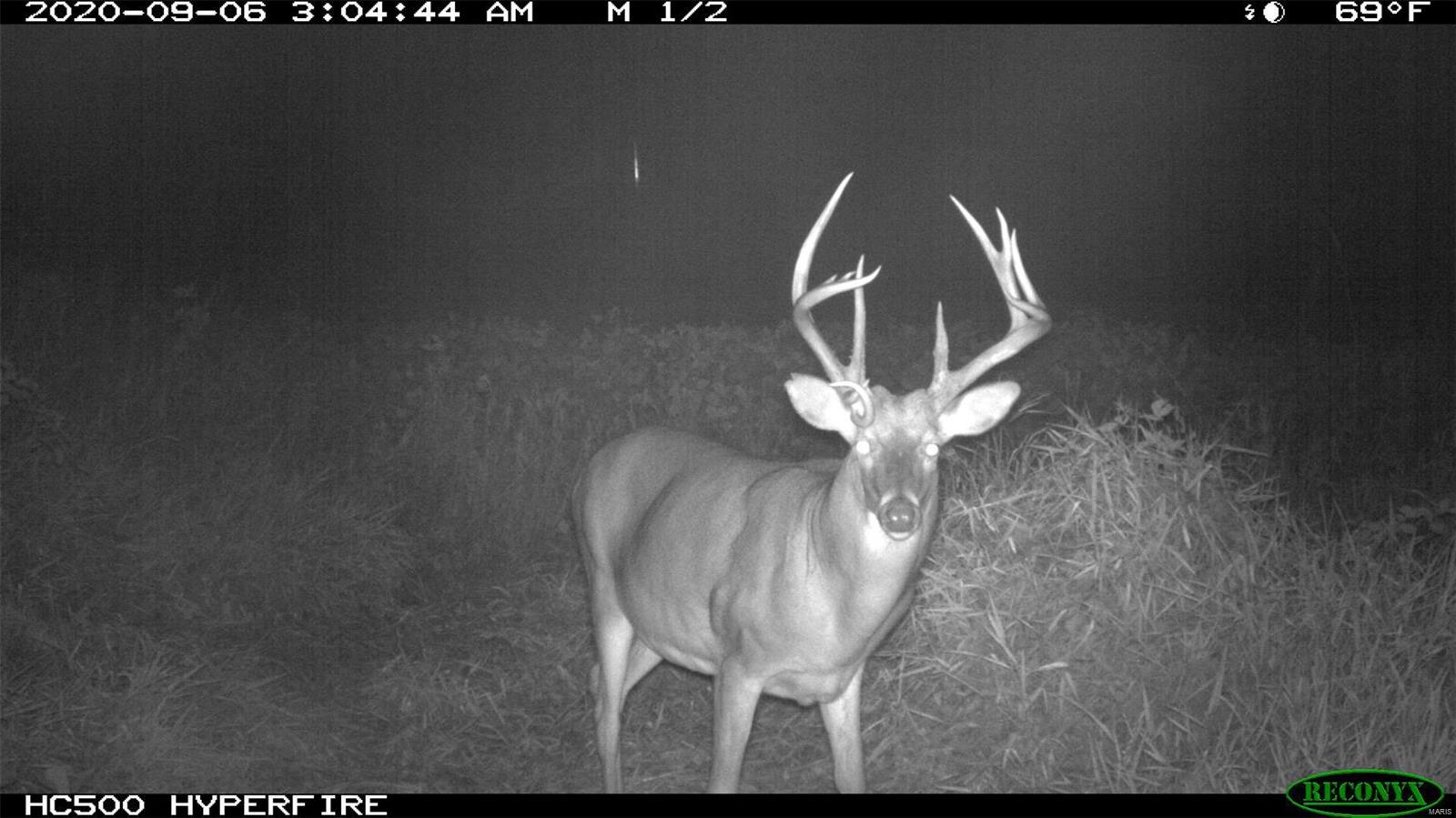 0 State Hwy B Property Photo 26