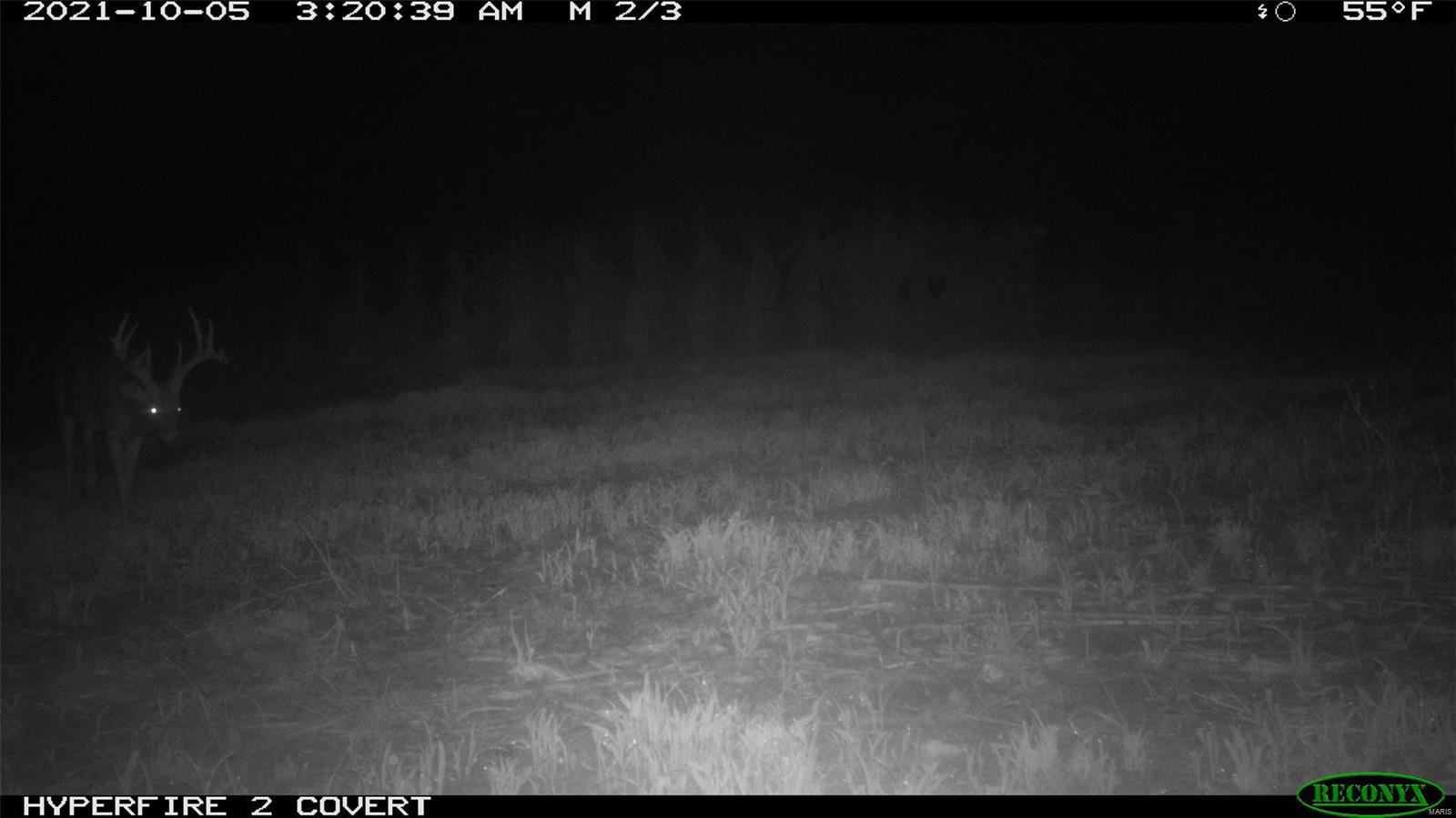 0 State Hwy B Property Photo 32