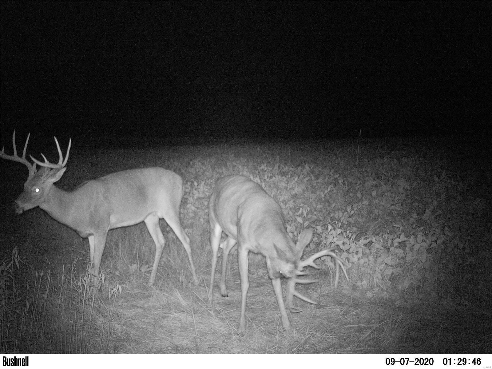 0 State Hwy B Property Photo 38