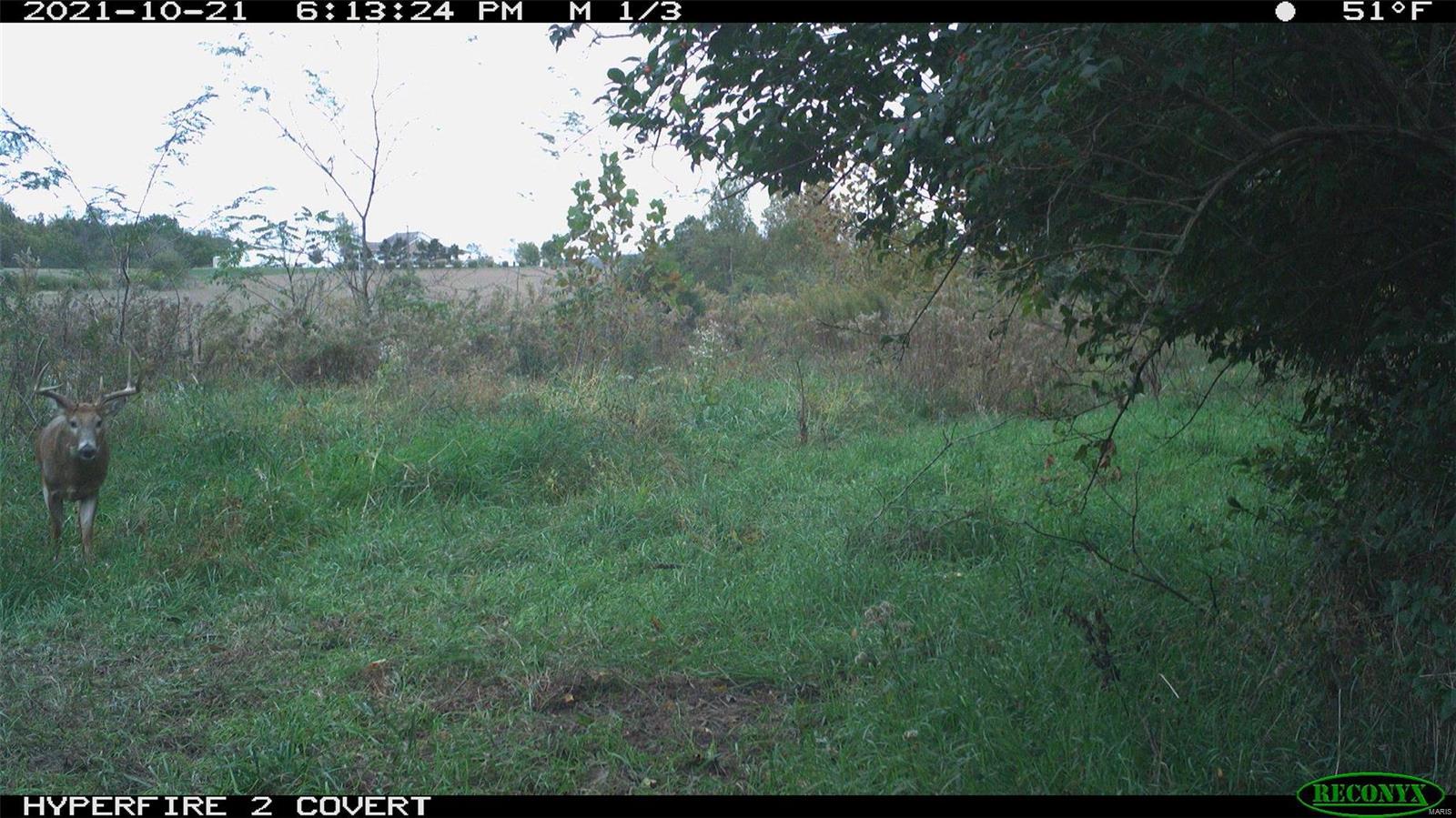 0 State Hwy B Property Photo 42