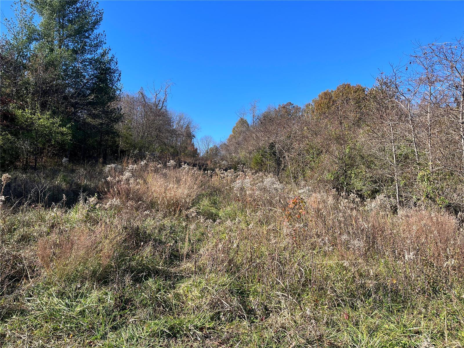 7075 Metropolitan Boulevard Property Photo 2
