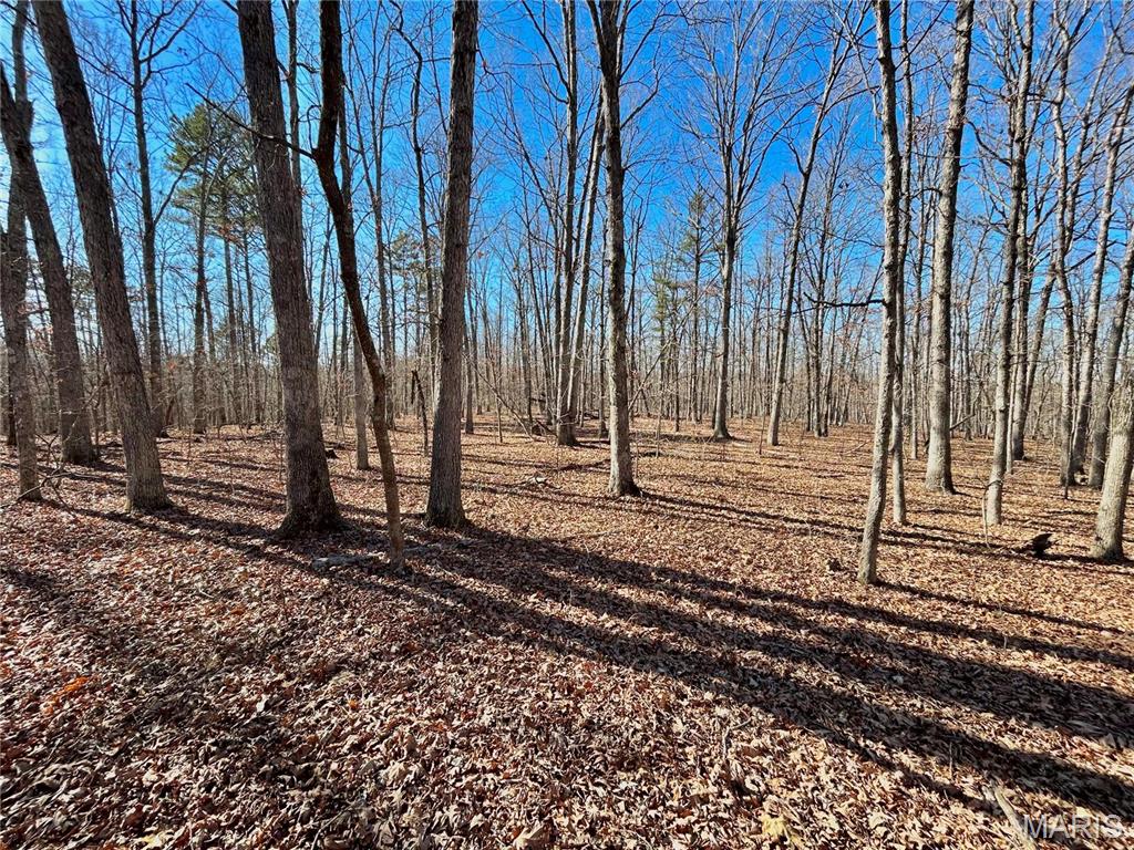 0 40.4 Acres County Road 5650 Property Photo 1