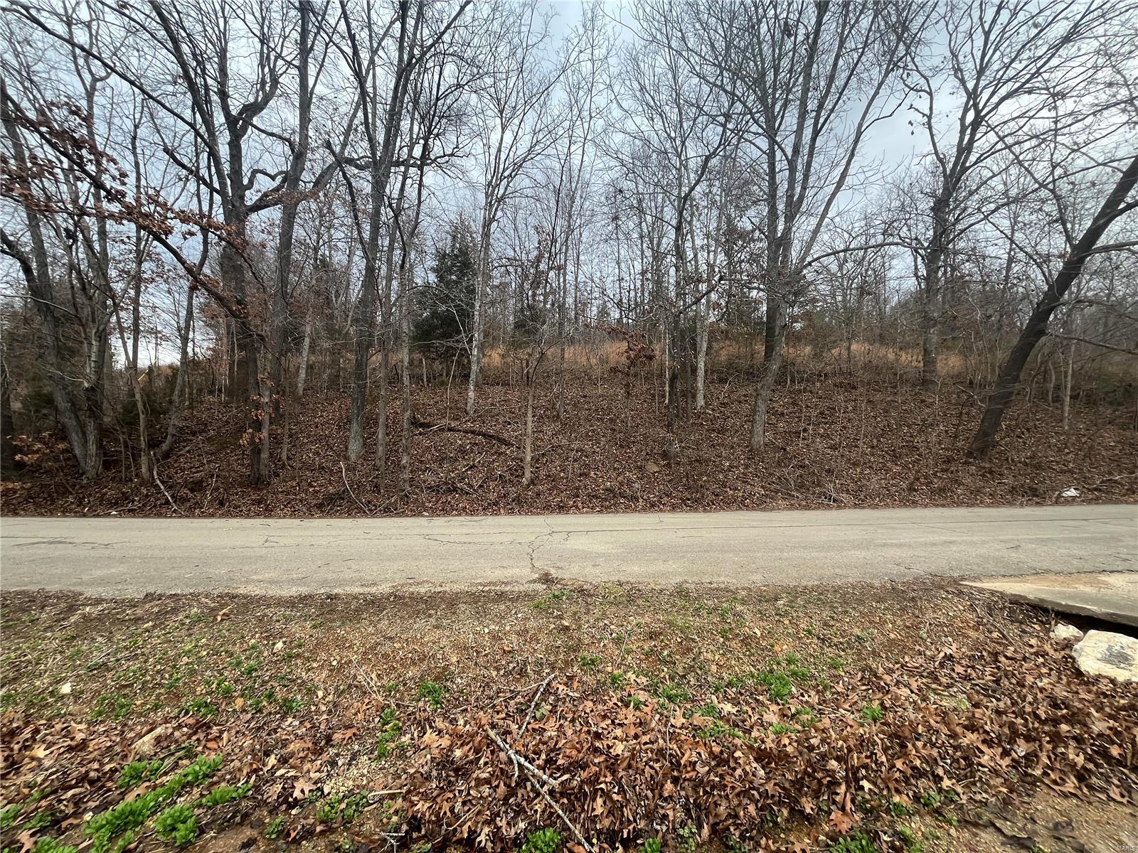306 S Martha Property Photo 9