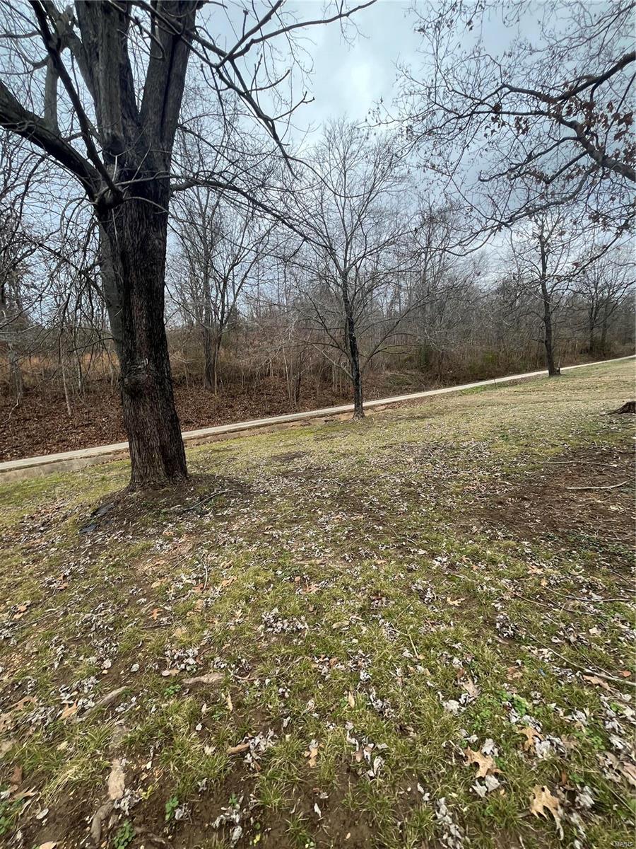 306 S Martha Property Photo 11