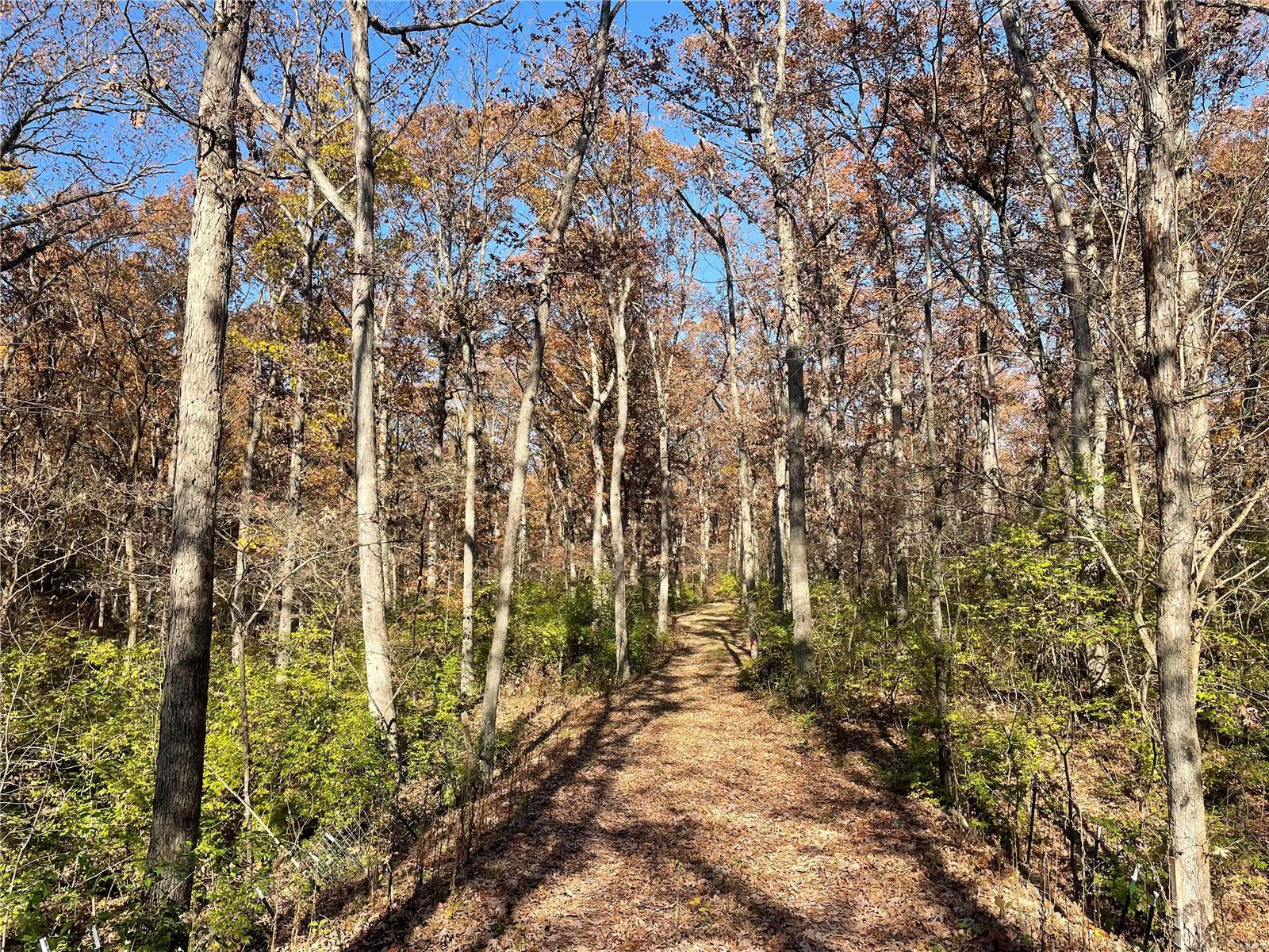 30934 Cotton Rd 3ac Road 3ac Property Photo