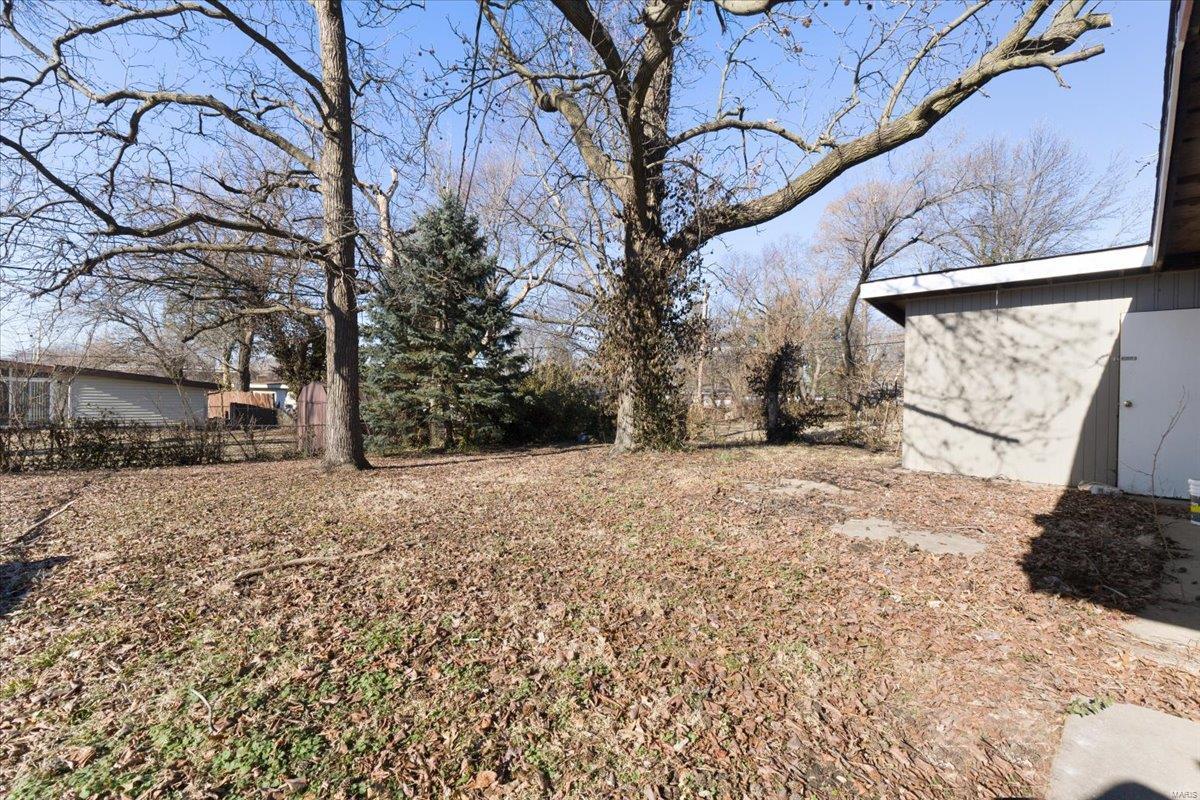 8426 Buckthorn Drive Property Photo 20