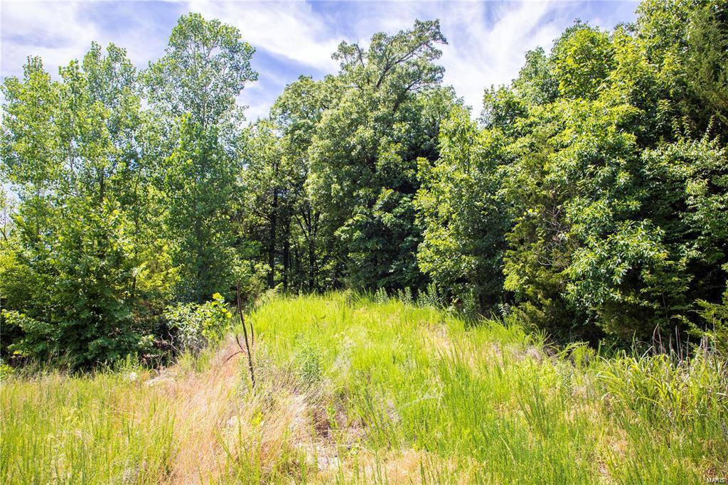 3939 Whitehall Drive Property Photo 4