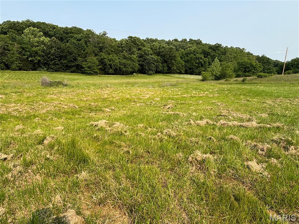 240 Big Creek Valley Drive Property Photo 1