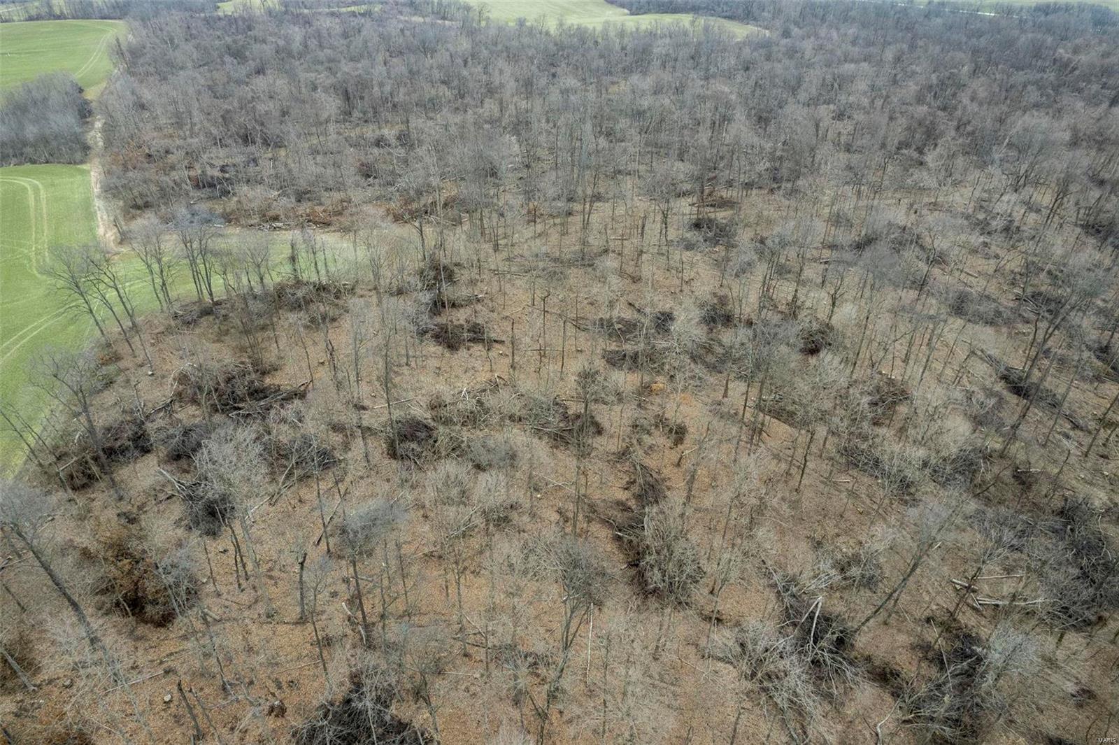 0 County Road 206/highway 74 Property Photo 13