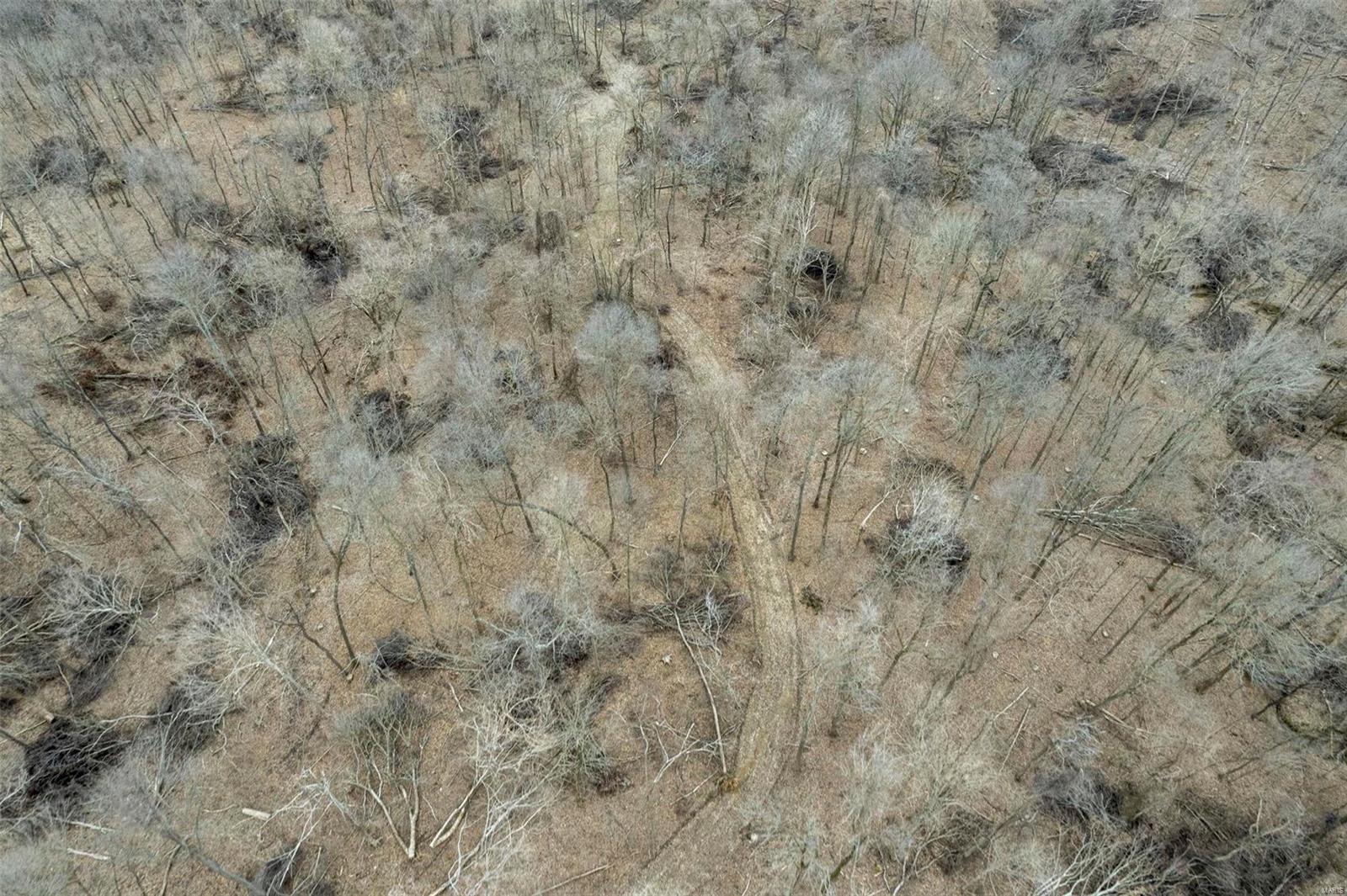 0 County Road 206/highway 74 Property Photo 18