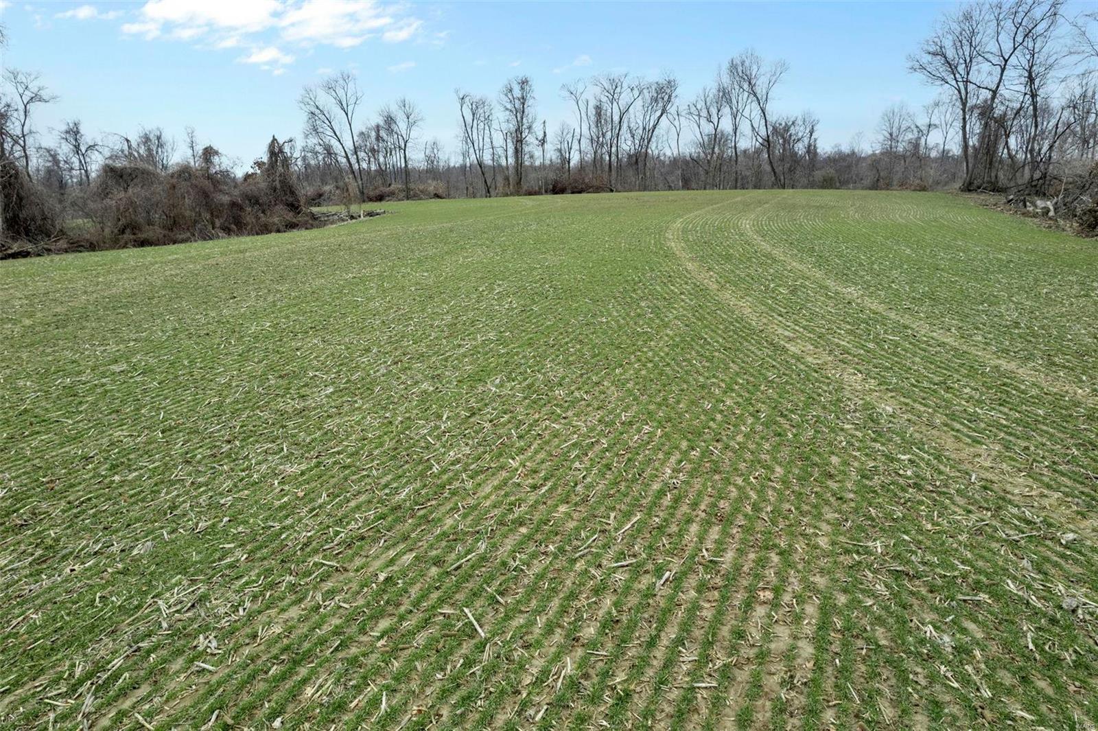 0 County Road 206/highway 74 Property Photo 30
