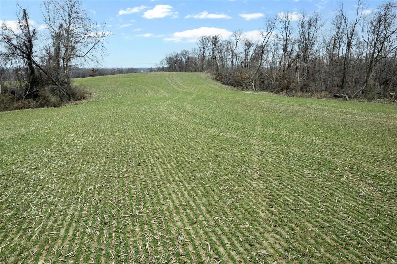 0 County Road 206/highway 74 Property Photo 31