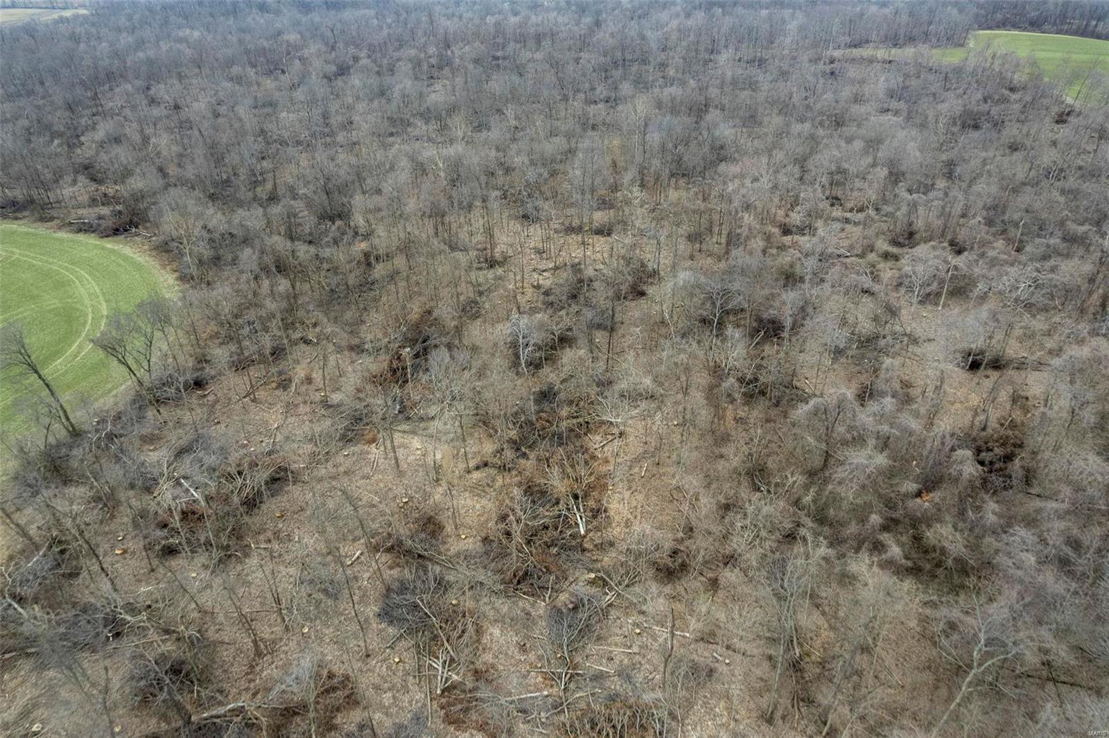 0 County Road 206/highway 74 Property Photo 35