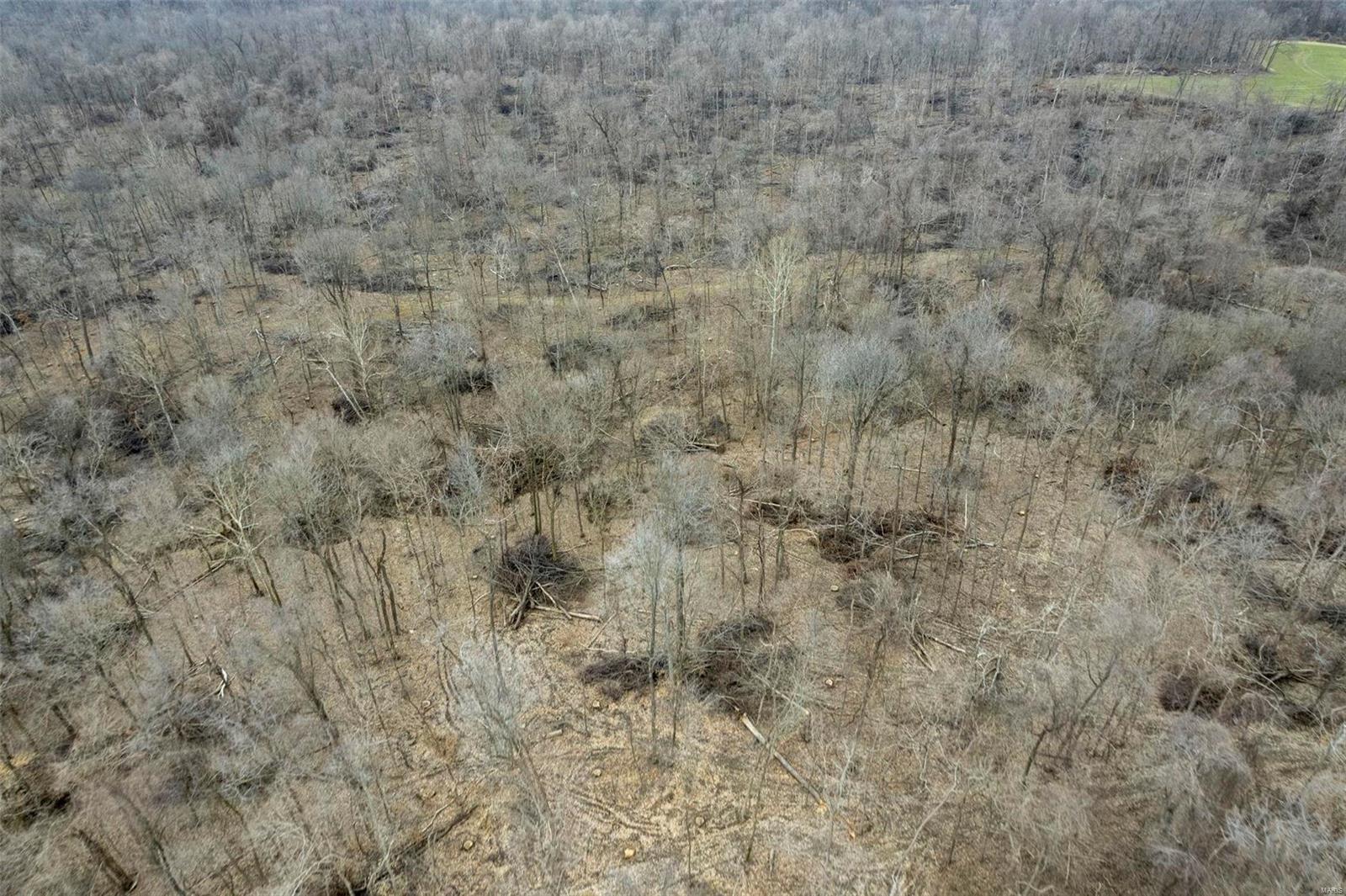 0 County Road 206/highway 74 Property Photo 37