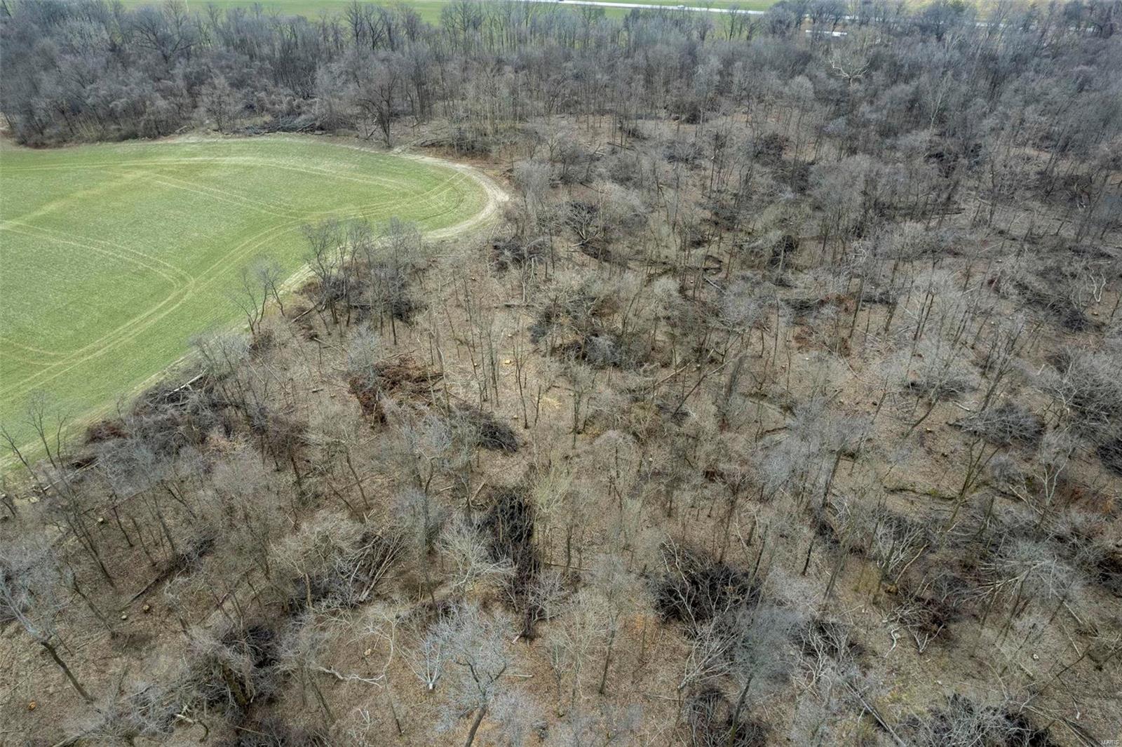 0 County Road 206/highway 74 Property Photo 39