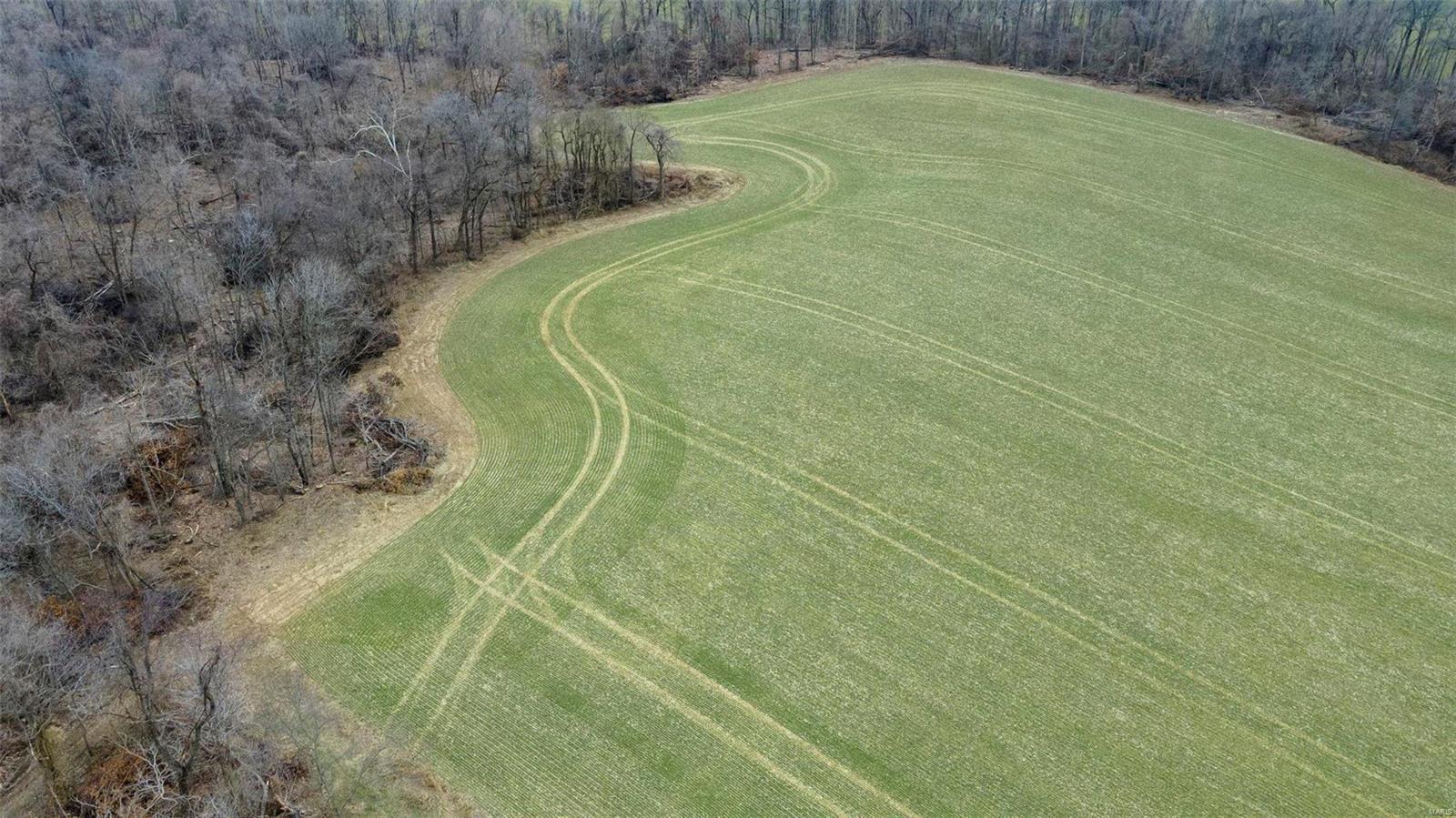 0 County Road 206/highway 74 Property Photo 41