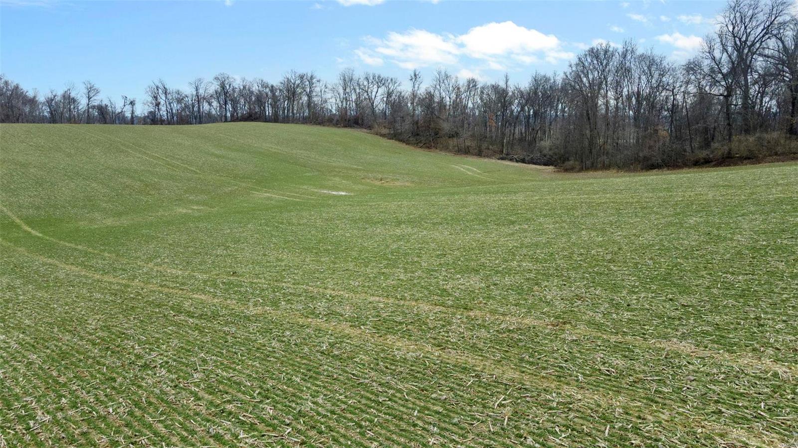 0 County Road 206/highway 74 Property Photo 49