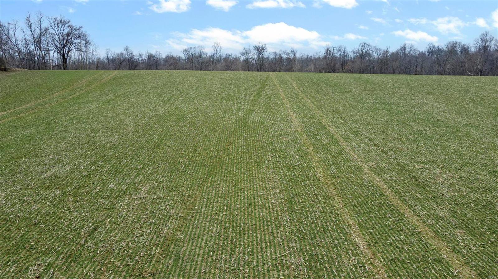 0 County Road 206/highway 74 Property Photo 59