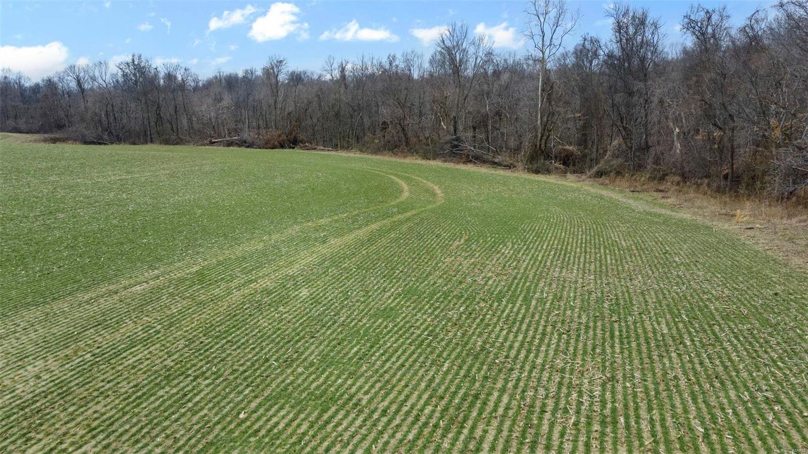 0 County Road 206/highway 74 Property Photo 61