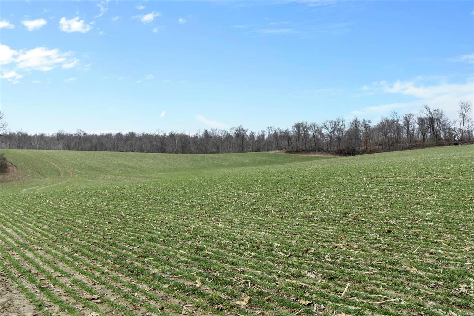 0 County Road 206/highway 74 Property Photo 69