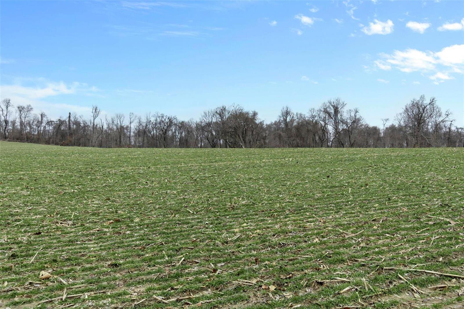 0 County Road 206/highway 74 Property Photo 70