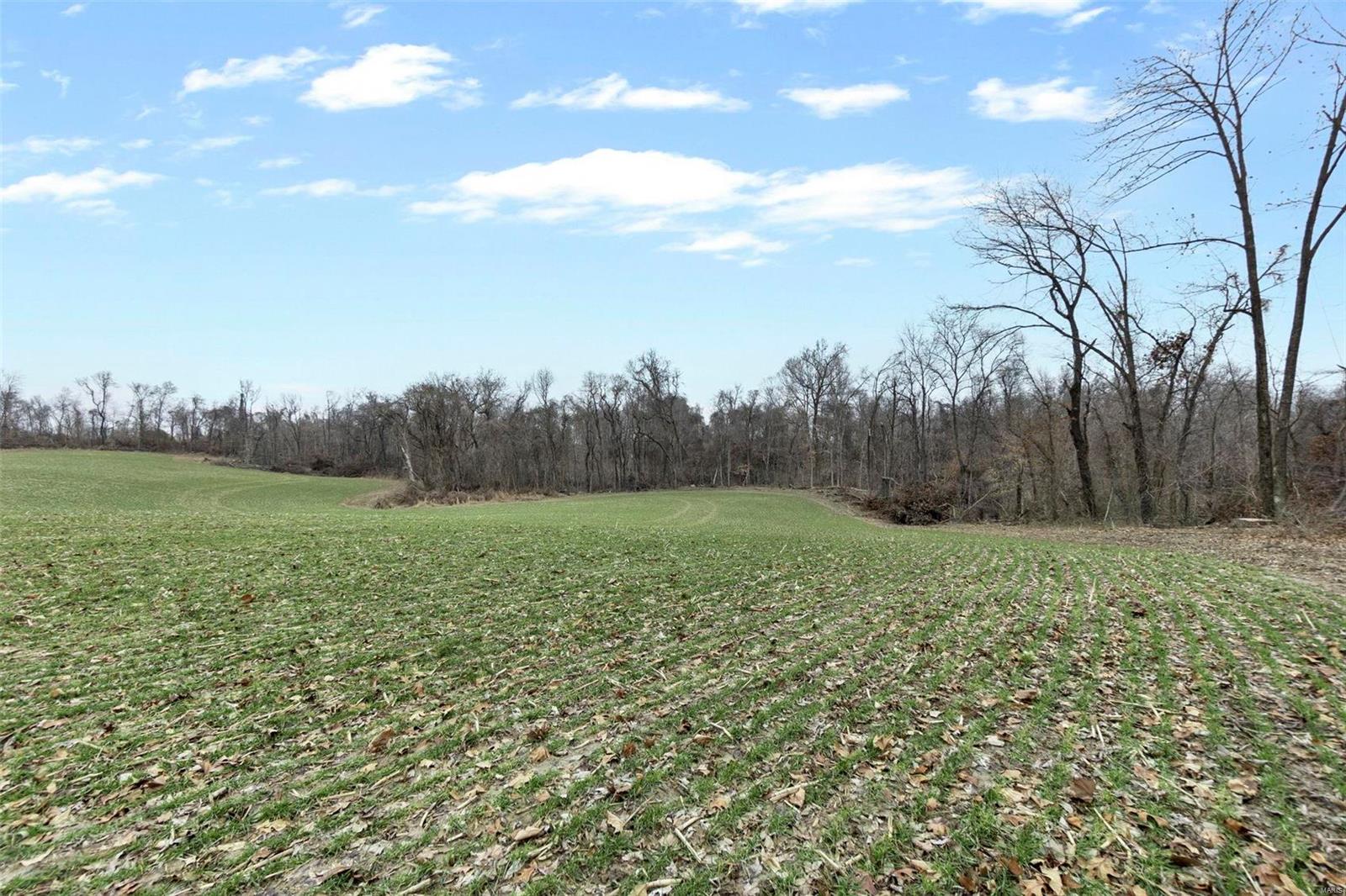 0 County Road 206/highway 74 Property Photo 72