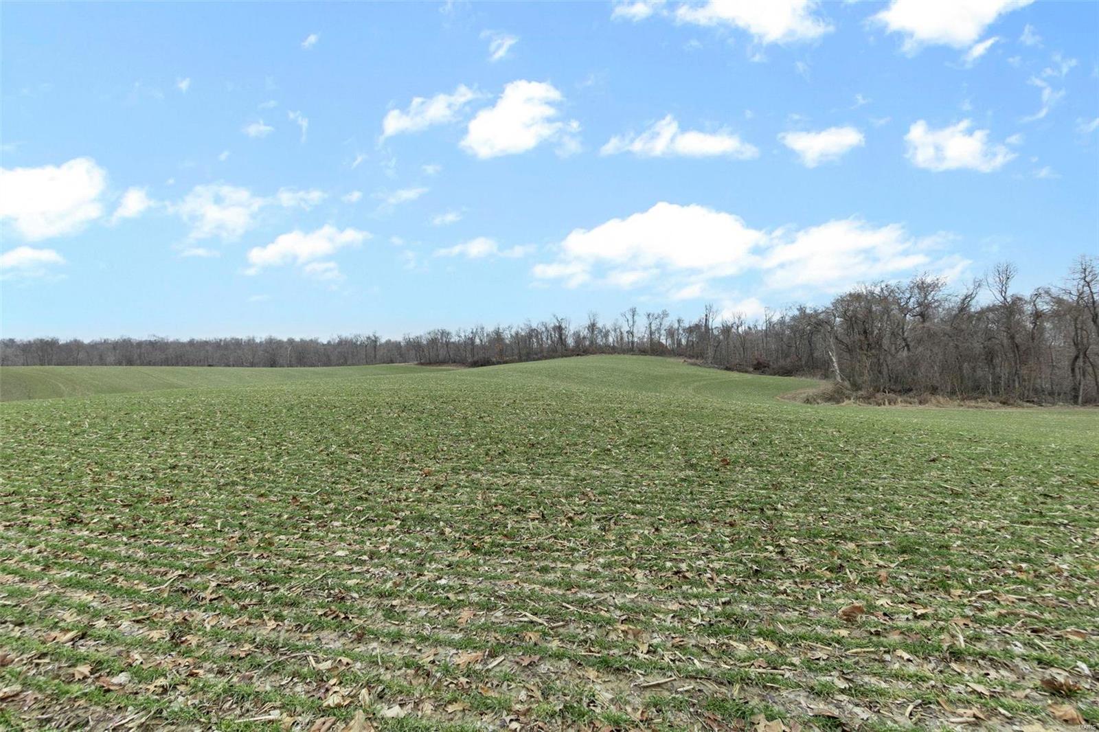 0 County Road 206/highway 74 Property Photo 73