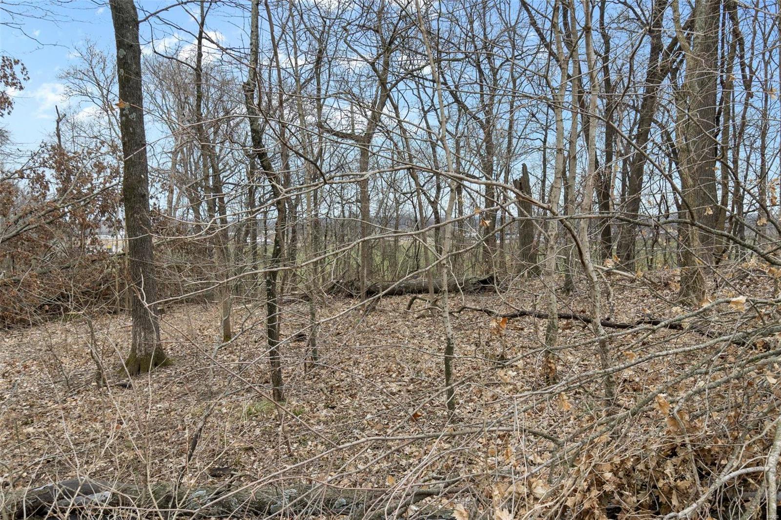 0 County Road 206/highway 74 Property Photo 76
