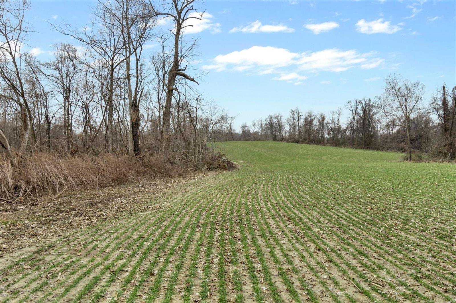 0 County Road 206/highway 74 Property Photo 83