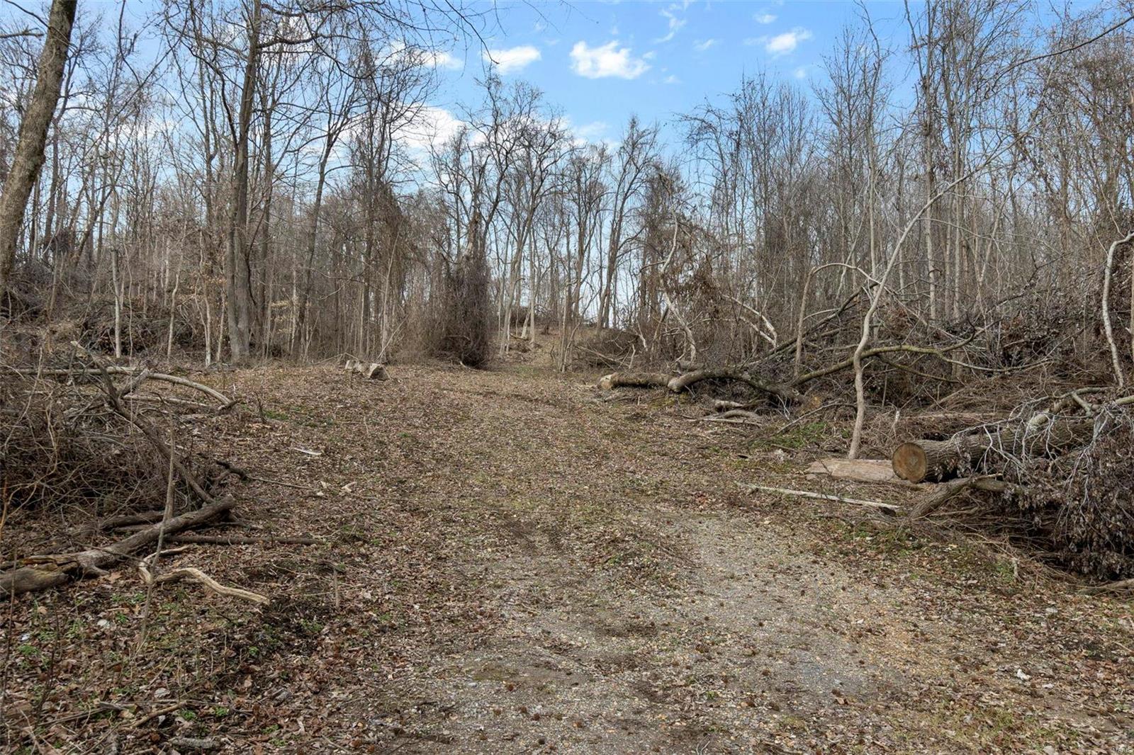 0 County Road 206/highway 74 Property Photo 91
