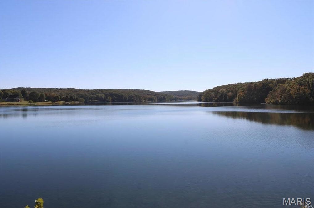 12054 Anthonies Mill Rd. Property Photo 50