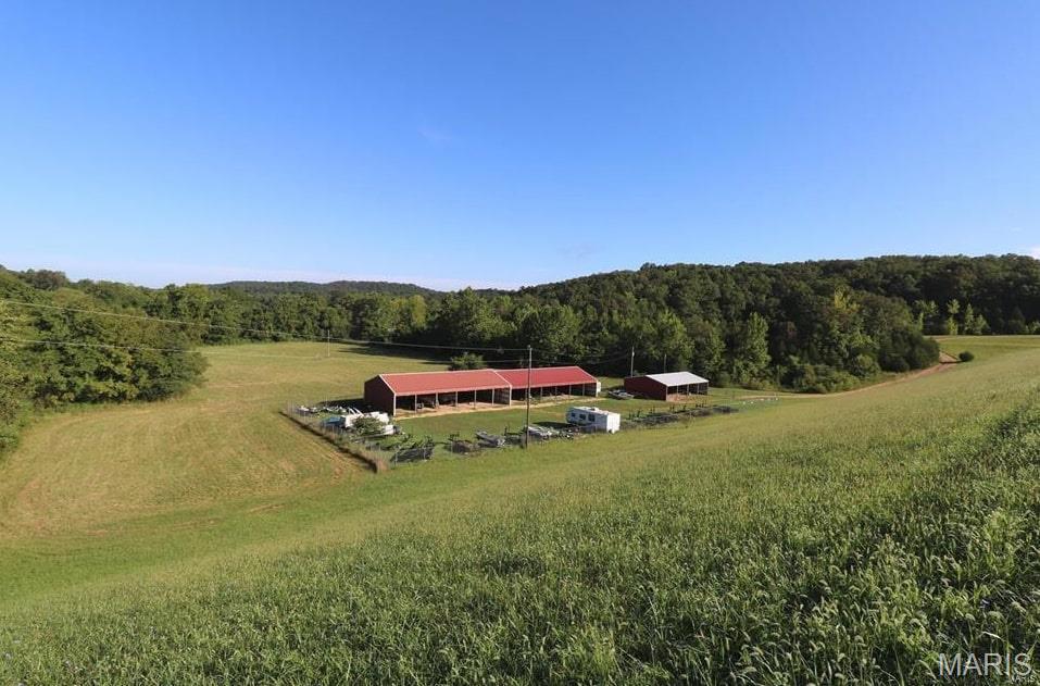 12054 Anthonies Mill Rd. Property Photo 64