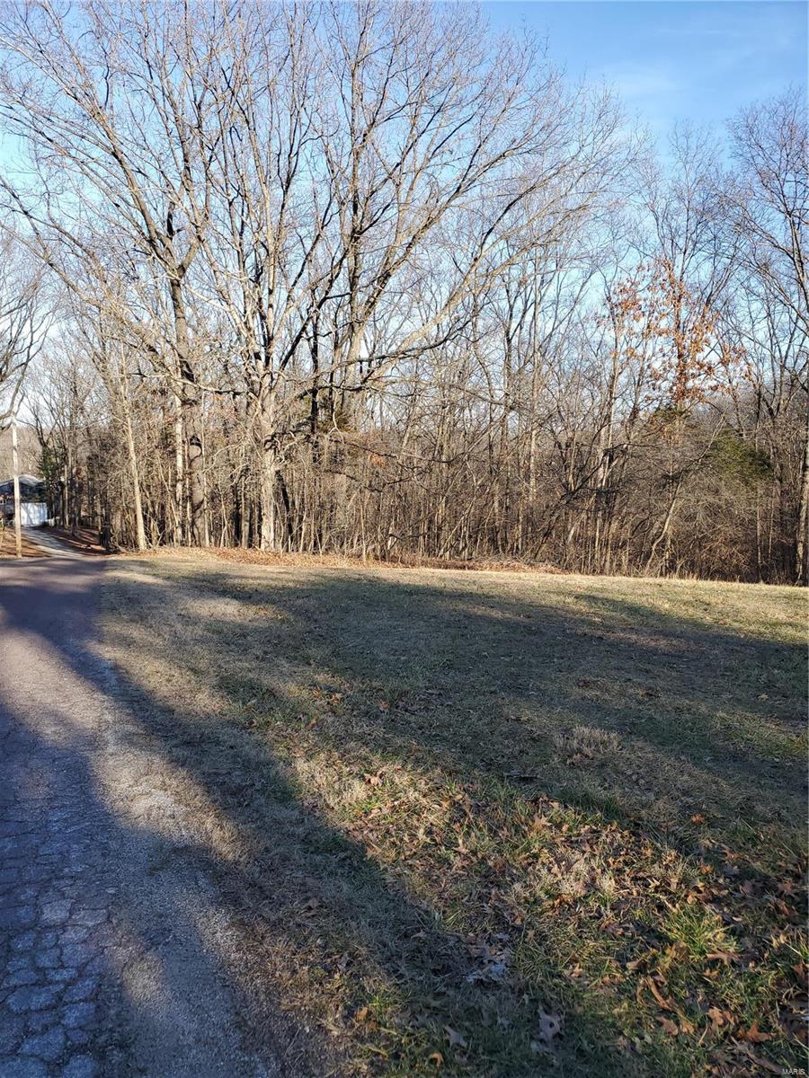 38 Bassett Woods Drive Property Photo 10