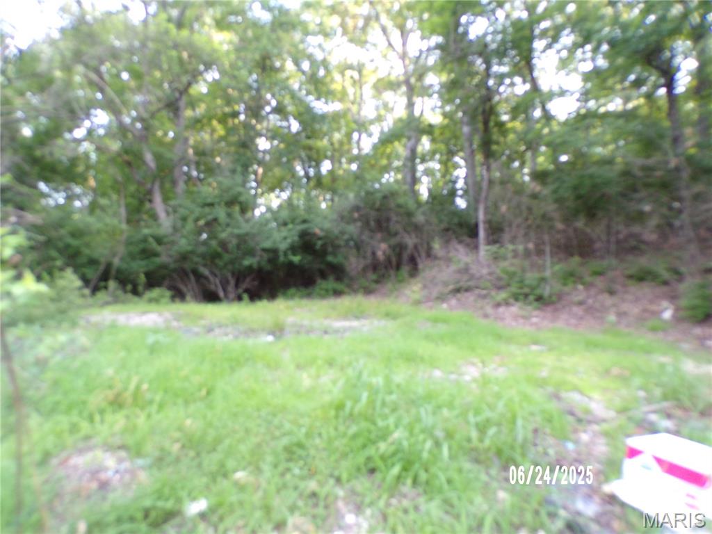 6045 Ozark Drive Property Photo 13