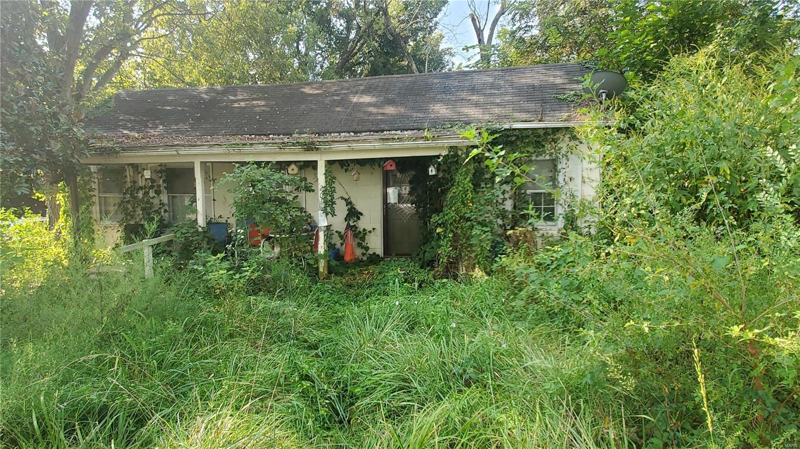 204 Douglas Street Property Photo