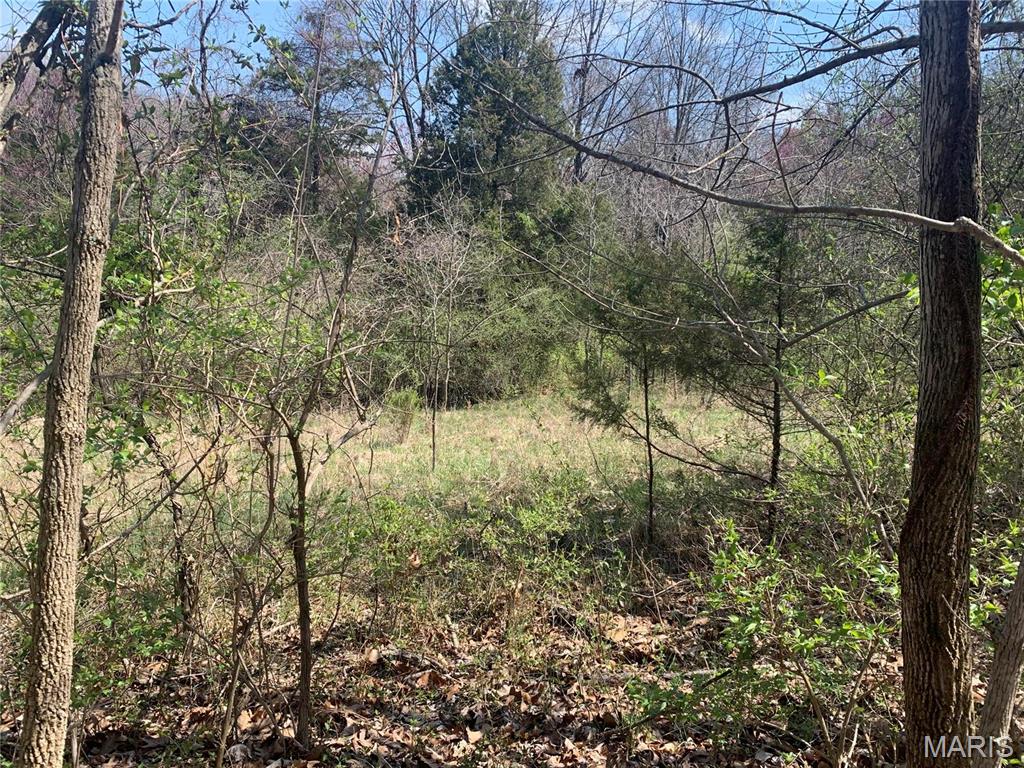 910 Old Eatherton Property Photo 1