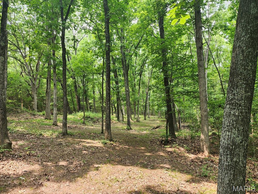13795 Klondike Road Property Photo 4