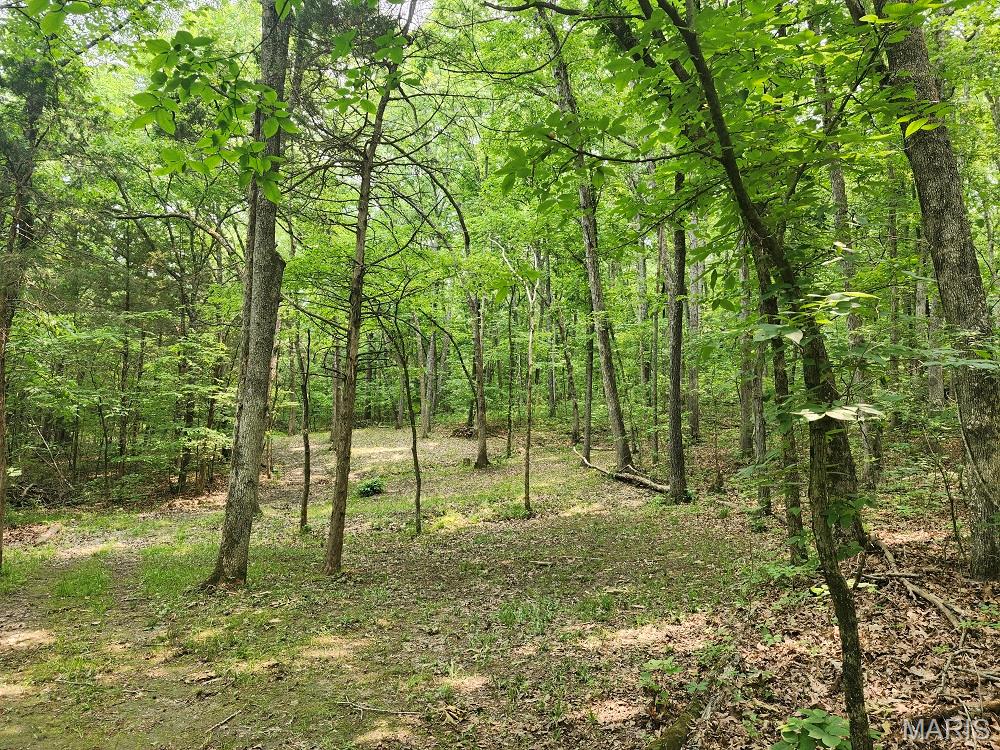 13795 Klondike Road Property Photo 5