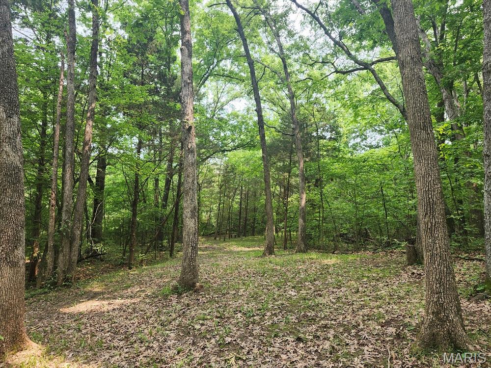 13795 Klondike Road Property Photo 7