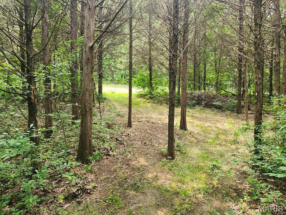 13795 Klondike Road Property Photo 8