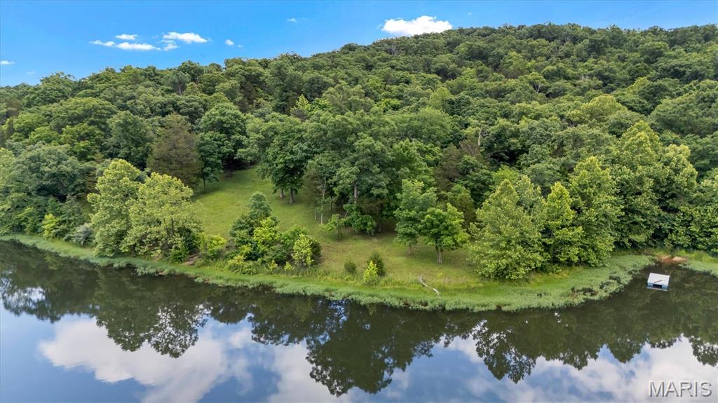 2206 Big River Trail Property Photo 4