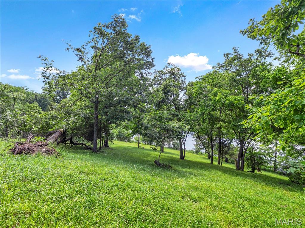 2206 Big River Trail Property Photo 12