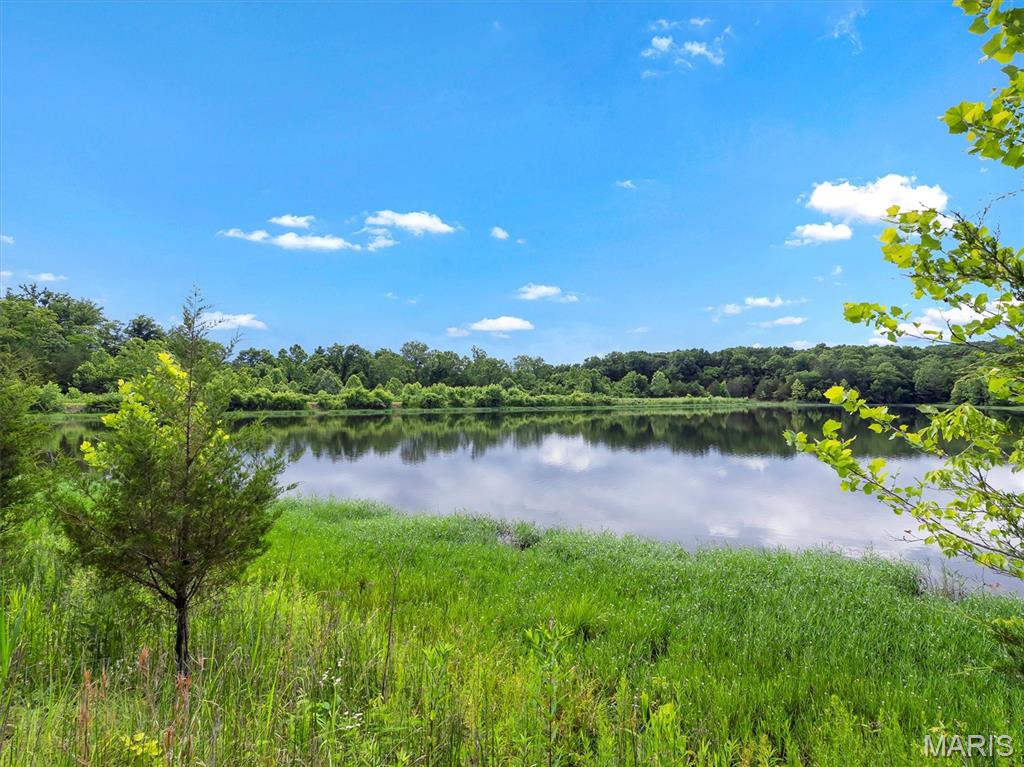 2206 Big River Trail Property Photo 13