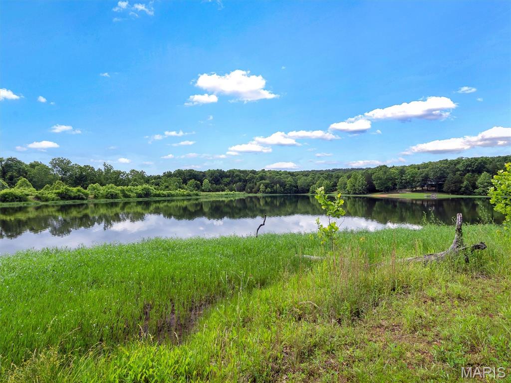 2206 Big River Trail Property Photo 19