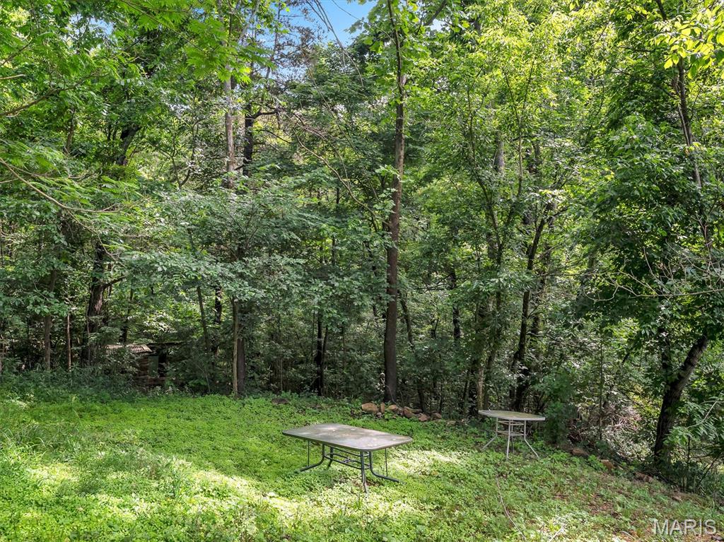 2206 Big River Trail Property Photo 20