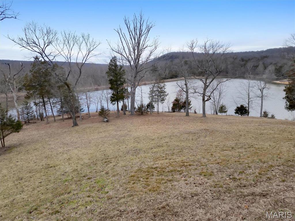 2206 Big River Trail Property Photo 24