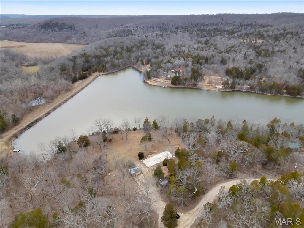 2206 Big River Trail Property Photo 31