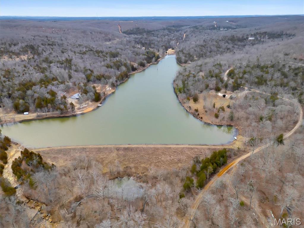 2206 Big River Trail Property Photo 35
