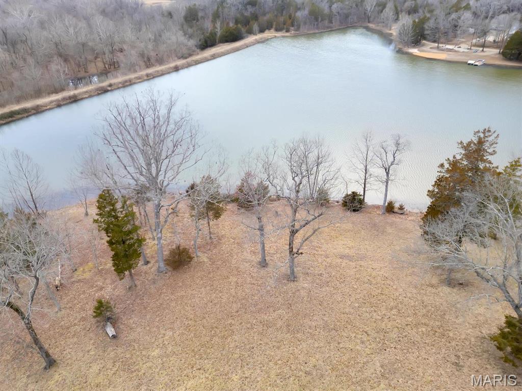 2206 Big River Trail Property Photo 39