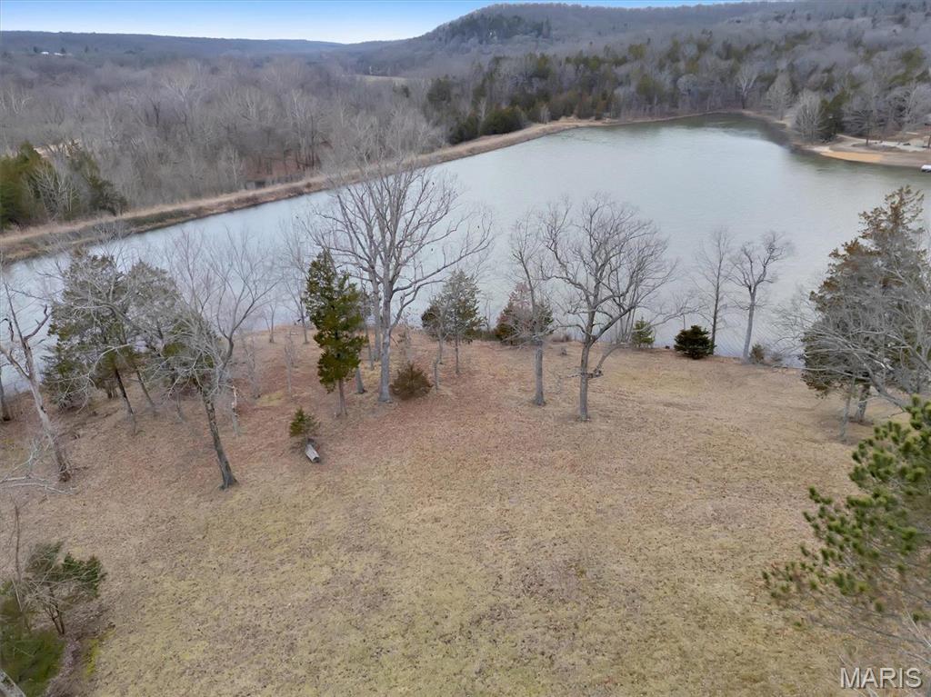 2206 Big River Trail Property Photo 43